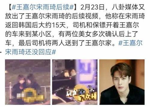 王嘉尔爆料马来西亚视频,一场别开生面的文化交流之旅  第2张